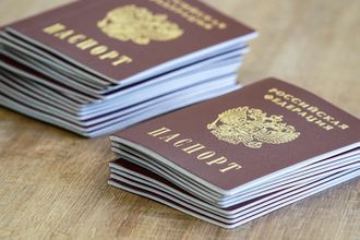 МВД назвало количество лишённых гражданства России за преступления