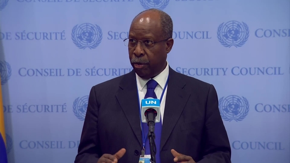 Leonardo Santos Simão (UNOWAS) on West Africa and the Sahel - Security Council Media Stakeout