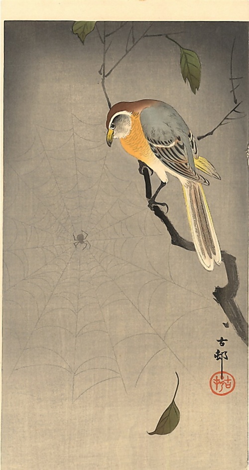   (Koson Ohara) (1877-1945) (135 )