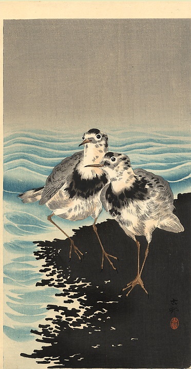   (Koson Ohara) (1877-1945) (135 )