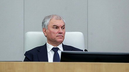 Председатель Государственной Думы Вячеслав Володин