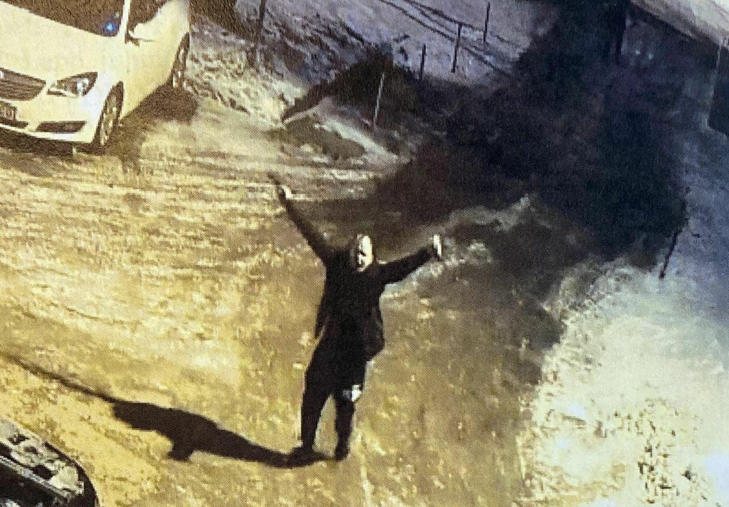 Снимок с камеры наблюдения: Роман Лебедев рано утром 24 февраля появился во дворе дома на улице Кари в Пыхья-Таллинне, выкрикивал нецензурную брань на русском языке и размахивал ножом с длинным лезвием и пистолетом.