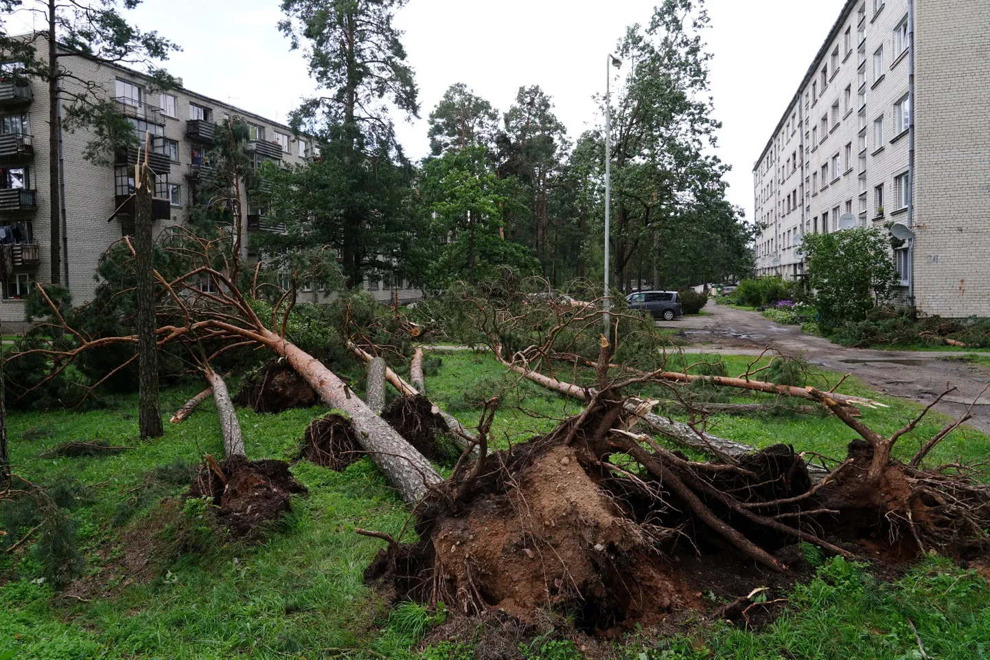Последствия бури в Добельском крае