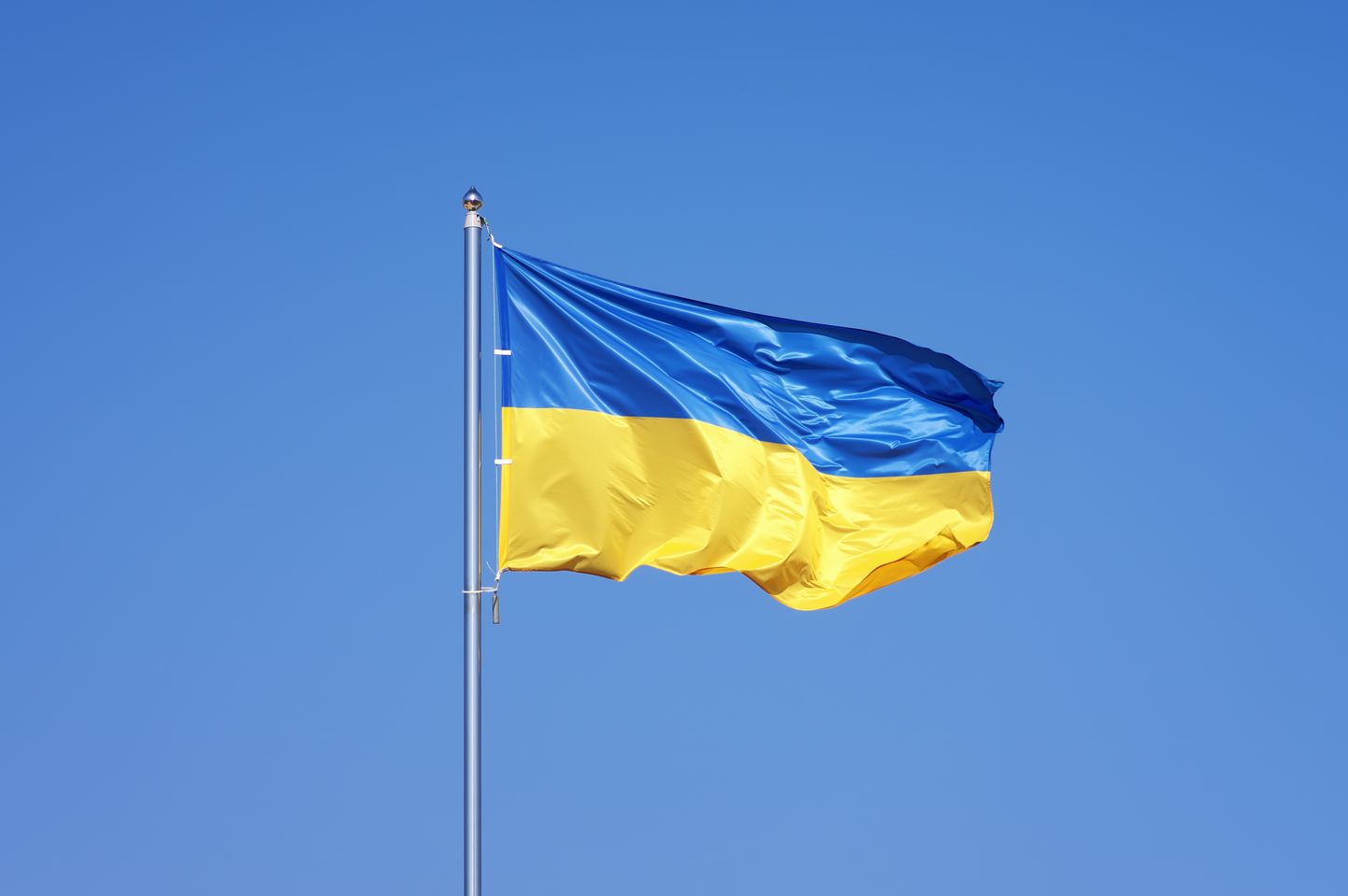 Флаг Украины