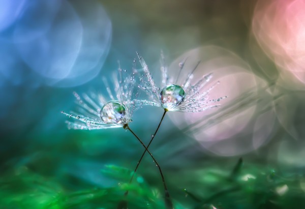 Miki AsaiAweso