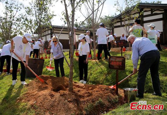 Tree planting activity held during UNESCO's World Heritage Committee