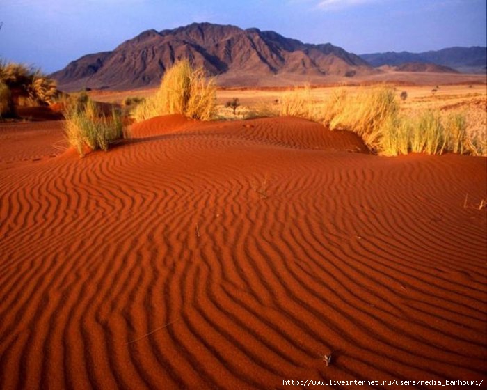 1402392675_phototravelguide_ru_namib (700x560, 186Kb)