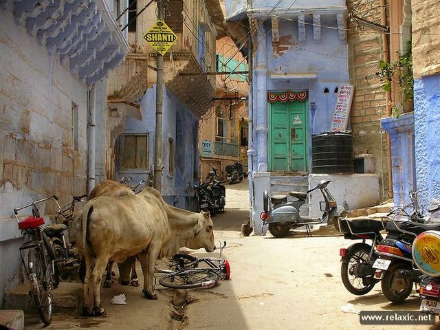 Jodhpur_009 (640x480, 87Kb)