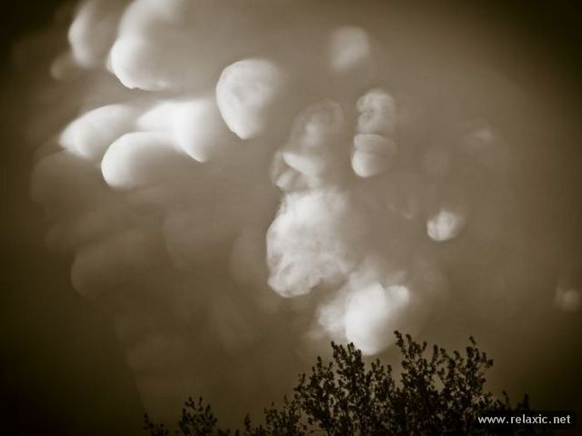 clouds_00031 (640x480, 23Kb)