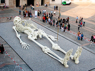 28-meter-skeleton (400x300, 183Kb)