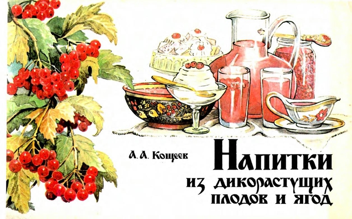 Кощеев А.А. - Напитки из дикорастущих плодов и ягод - 1991_1 (700x435, 242Kb)