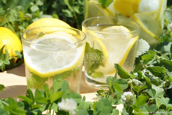domashnij-limonad-s-limonom-i-myatoj (700x467, 246Kb)