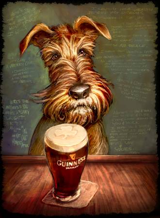 IrishTerrier (330x450, 25Kb)