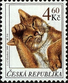 Domestic-Cat-Felis-silvestris-catus (219x267, 43Kb)