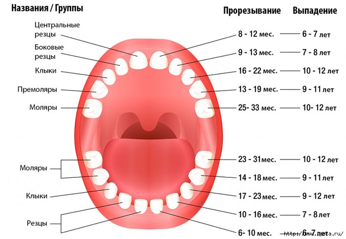 alt="          ?"/2835299_Chem_molochnie_zybi_otlichautsya_ot_korennih (700x485, 145Kb)