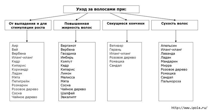 alt="      "/2835299_Efirnie_masla_dlya_volos_tablica (700x371, 84Kb)