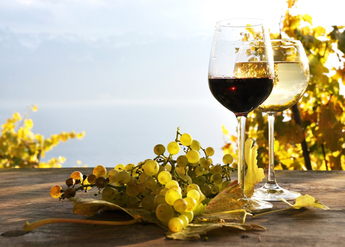 wine-white-red-grapes-leaves-table-vineyards (700x500, 361Kb)