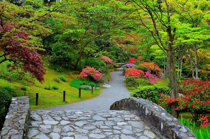 японский сад в Сиэтле 2 (700x463, 629Kb)