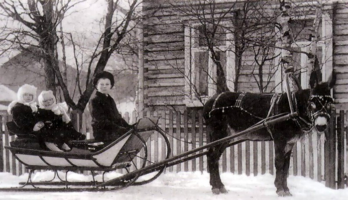  осия Зима под Петербургом, 1903 год (700x402, 303Kb)