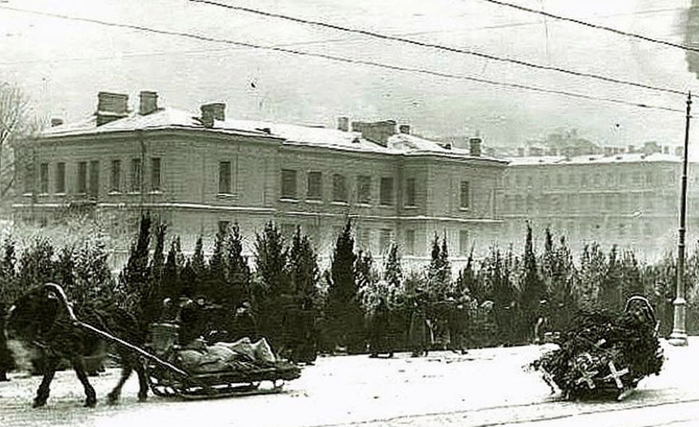  оссия Ёлочный базар в Москве 1913 год (700x427, 274Kb)