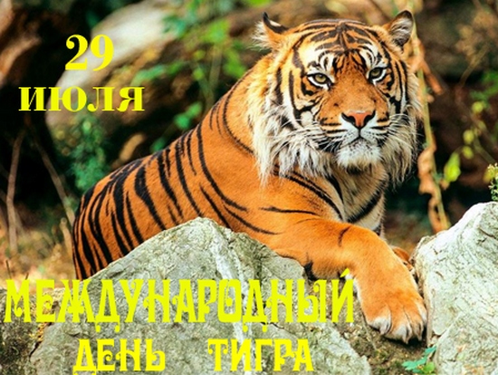 3109898_den_tigra (550x414, 186Kb)