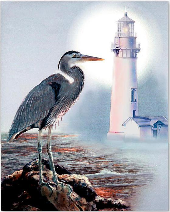 96610219_Blue_heron_In_the_circle_of_light (559x699, 252Kb)