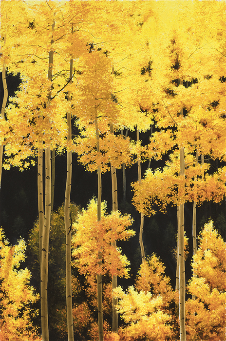 Aspen-Season-48x32 (464x700, 591Kb)