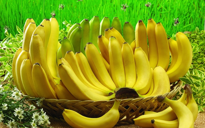 2627134_awesomebananafruithighrespics2Kwallpaper (700x437, 278Kb)