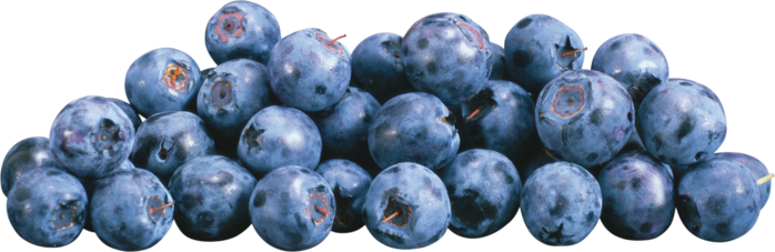 2222299_pngimg_com__blueberries_PNG54_1_ (700x227, 263Kb)