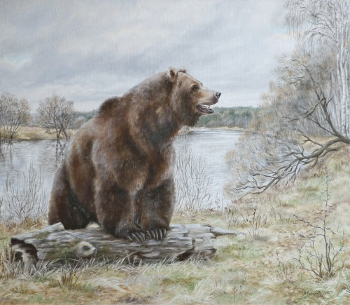 bear_prior_to_hibernation (500x435, 167Kb)