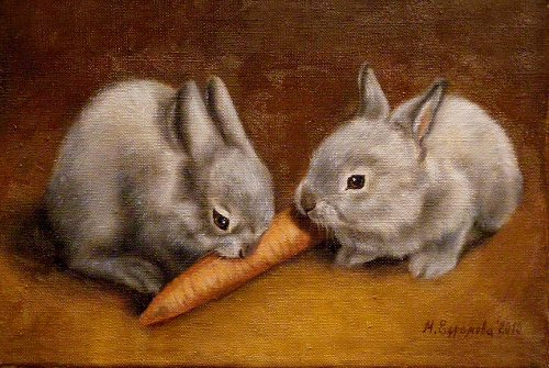 rabbits1 (500x335, 182Kb)
