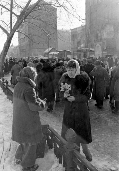 ссср Нарциссы в мартовской Москве, 1947 год (490x700, 199Kb)