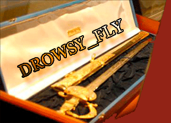 drowsy_fly (340x245, 46Kb)