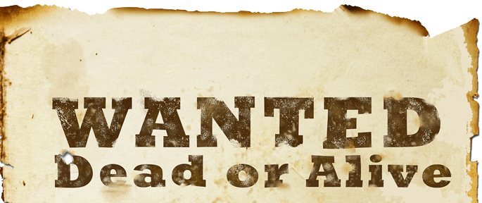 wanted2 (685x288, 137Kb)