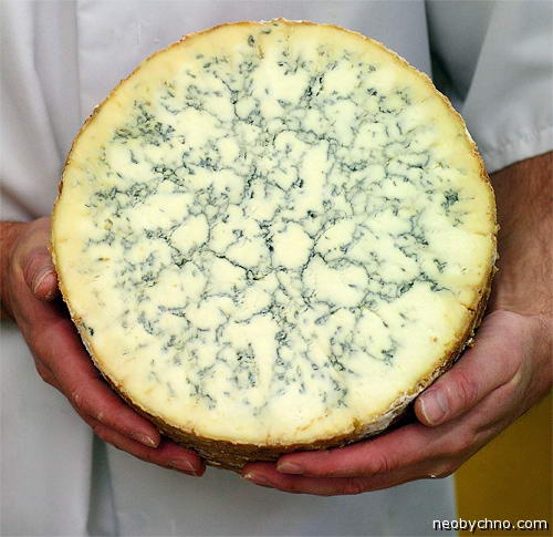 stilton-2 (500x485, 43Kb)