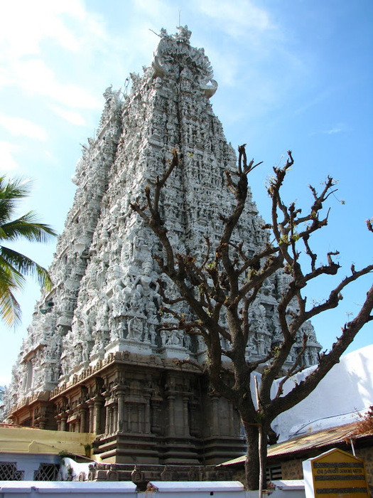  (Suchindram temple)    . 82525