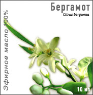 bergamot (183x186, 14Kb)