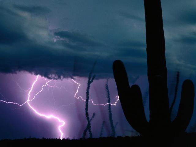 desastres-de-tormentas-en-el-desierto-571_640x480 (640x480, 72Kb)