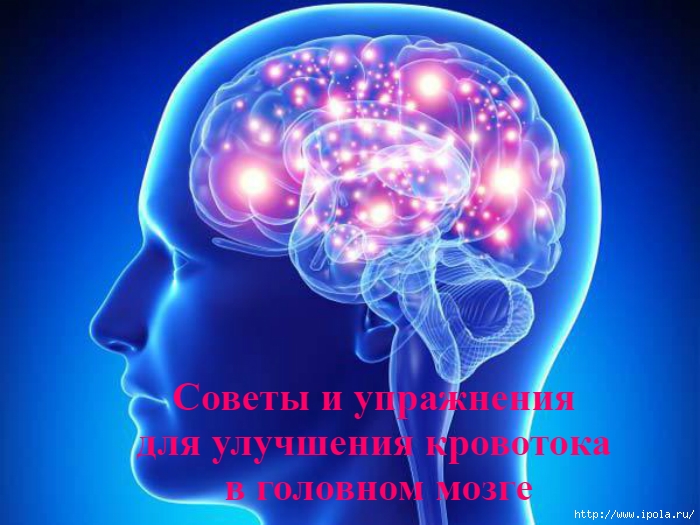 alt="        "/2835299_Soveti_i_yprajneniya_dlya_ylychsheniya_krovotoka_v_golovnom_mozge (700x525, 229Kb)