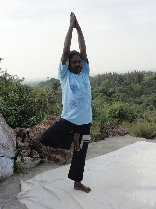 5954460_A_style_of_vrikshasana (520x694, 60Kb)