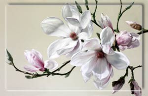 5539794_magnoliya (300x195, 10Kb)