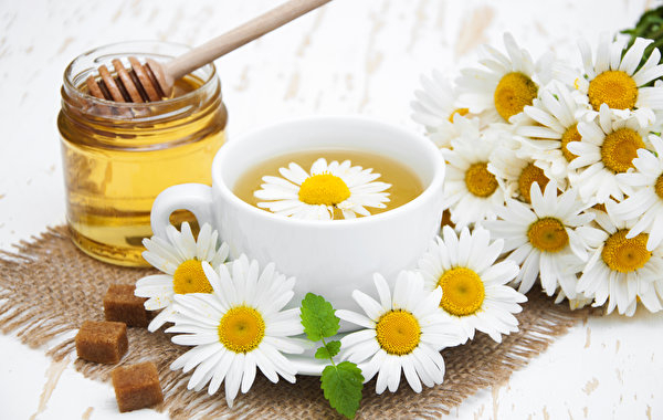 Honey_Camomiles_Tea_Jar_Cup_522479_600x380 (600x380, 165Kb)