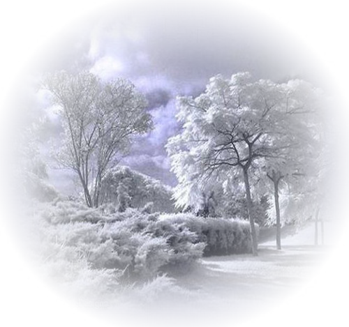 Winter_Landscapes_59 (500x469, 338Kb)