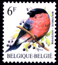 YtBE 2294 Eurasian Bullfinch (204x231, 25Kb)