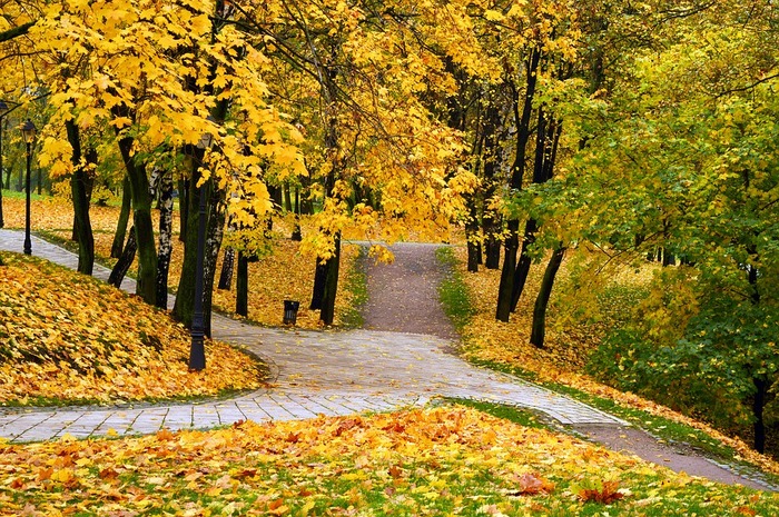 autumn-park-1751391_960_720 (700x465, 225Kb)