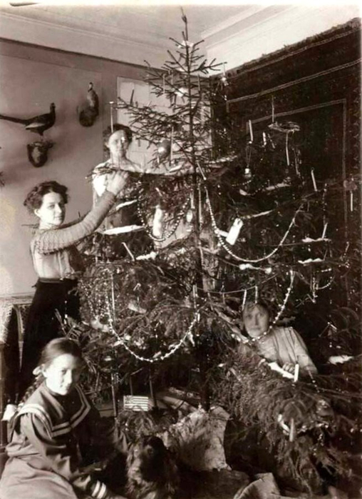  оссия  ождественская елка, 1911 (508x700, 312Kb)