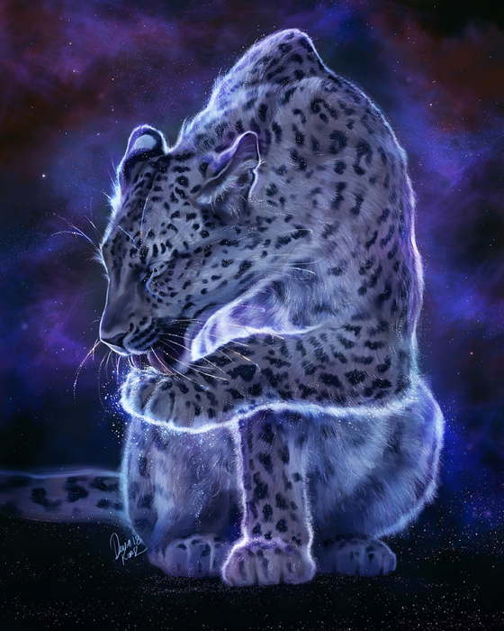 StarryLeopard0-5ada071de6af7__880 (560x700, 458Kb)