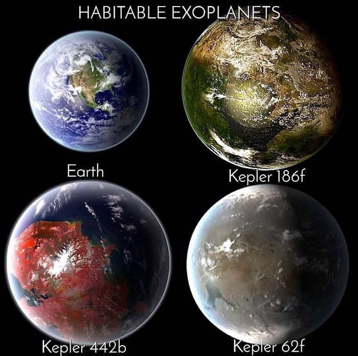 Kepler 442b      1100   (700x697, 101Kb)