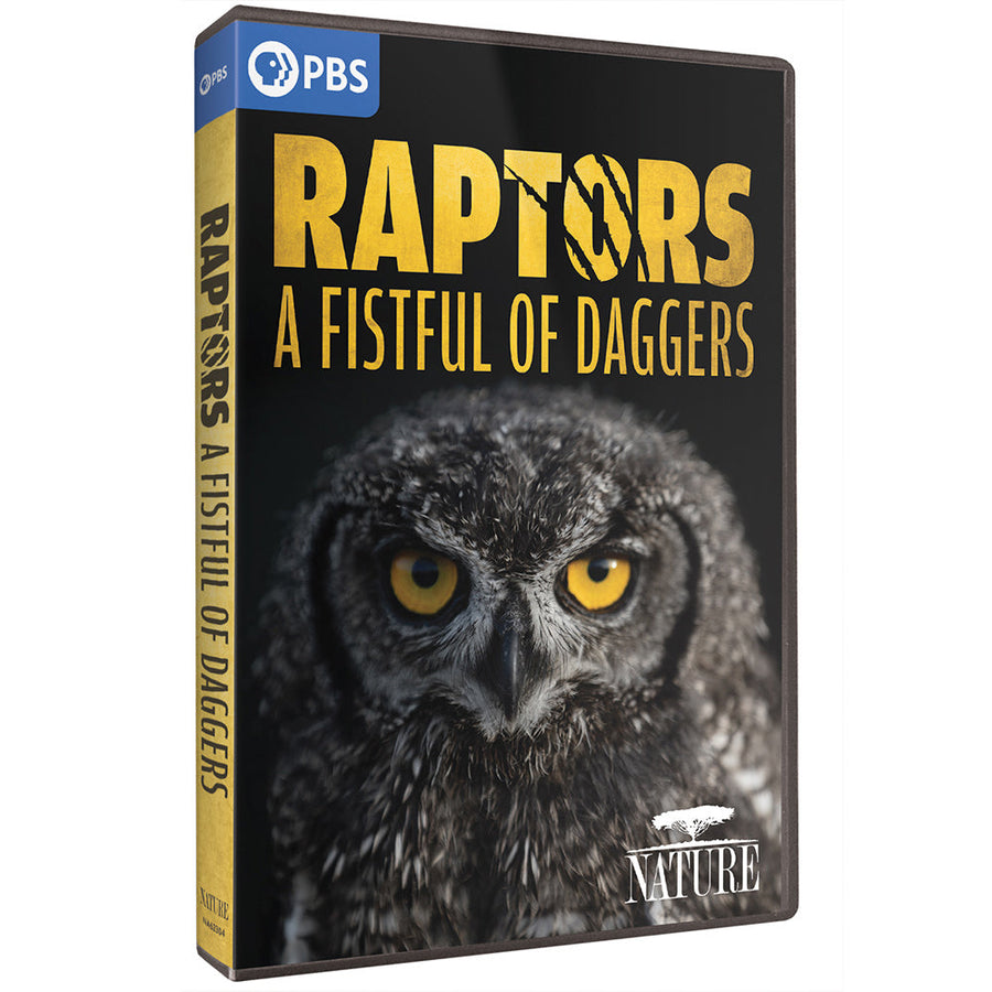 Raptor: A Fistful of Daggers