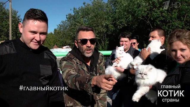 Главный котик страны. Выпуск от 10.09.2017